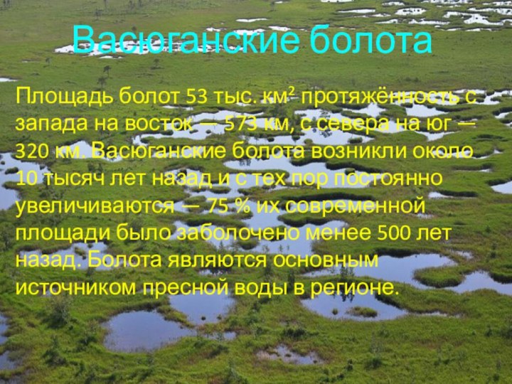 Васюганские болотаПлощадь болот 53 тыс. км² протяжённость с запада на восток —