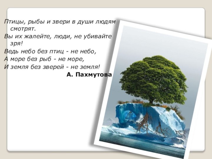 Птицы, рыбы и звери в души людям смотрят.Вы их жалейте, люди, не