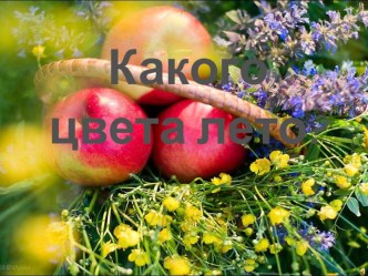 Презентация Какого цвета лето?