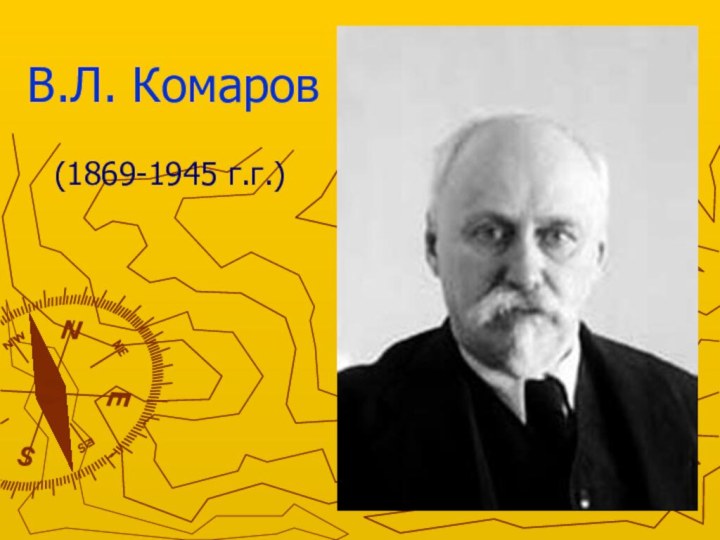 В.Л. Комаров(1869-1945 г.г.)