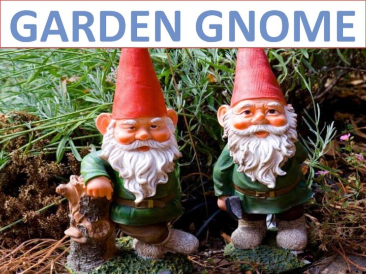 GARDEN GNOME