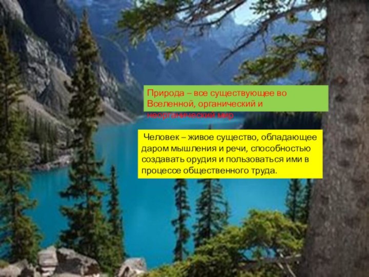 Человек – живое существо, обладающее даром мышления и речи, способностью создавать