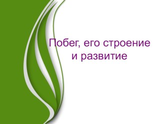 Урок 6класс Побег, строение и развитие побега