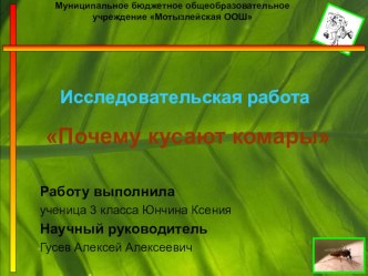 Исследовательская работа: Почему кусают комары