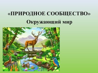 Презентация по окружающему миру по теме Природное сообщество