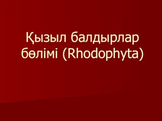 Презентация по биологии на тему Қызыл балдырлар бөлімі