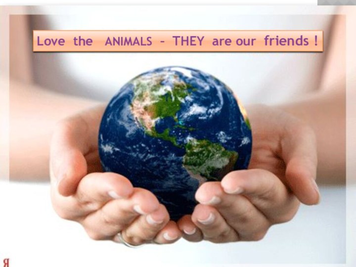 Love the  ANIMALS – THEY are our friends !