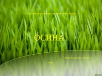 Осина.Материал к занятию во внеурочное время по экологическому воспитанию.