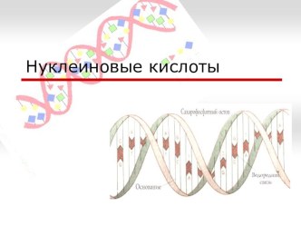 Презентация по биологии на тему Нуклеиновые кислоты. Генетический код, его свойства (9 класс)