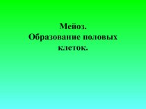 Презентация по биологии на тему Мейоз (9 класс)