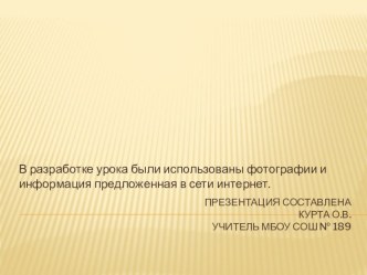 Грибы Новосибирска и Новосибирской области