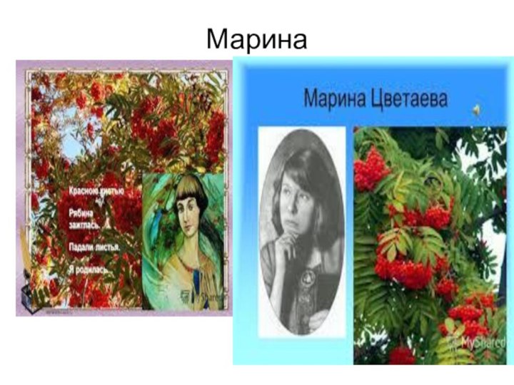 Марина