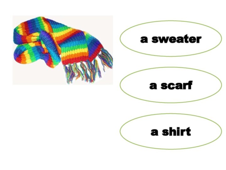 a sweatera scarfa shirt