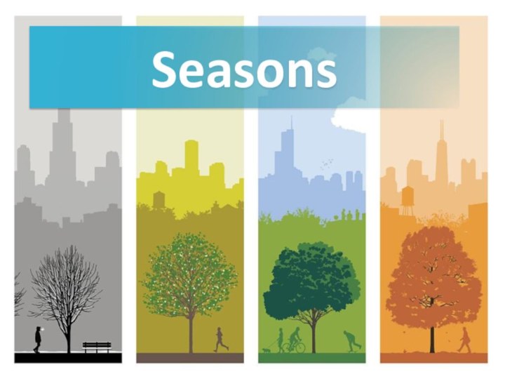 Seasons