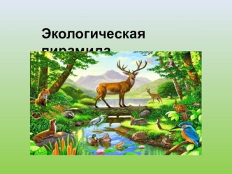 Презентация по окружающему миру по теме Экологическая пирамида. О круговороте веществ