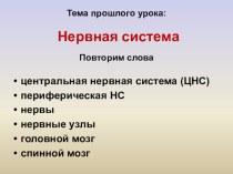 Презентация по биологии на тему Рефлекторная дуга (8 класс)