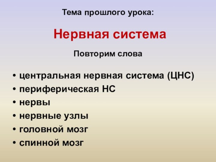 Тема прошлого урока:центральная нервная система (ЦНС)периферическая НСнервынервные узлыголовной мозгспинной мозгПовторим словаНервная система