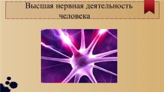 Презентация по биологии Высшая нервная деятельность человека.