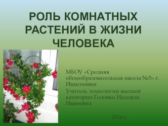 Презентация по технологии на тему Роль комнатных растений в жизни человека (6 класс)