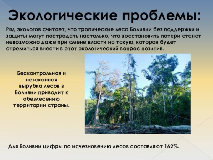 Экологические проблемы:Ряд экологов считает, что тропические леса Боливии без поддержки и защиты