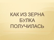 Презентация по окружающему миру на тему Как из зерна булка получилась (1 класс)