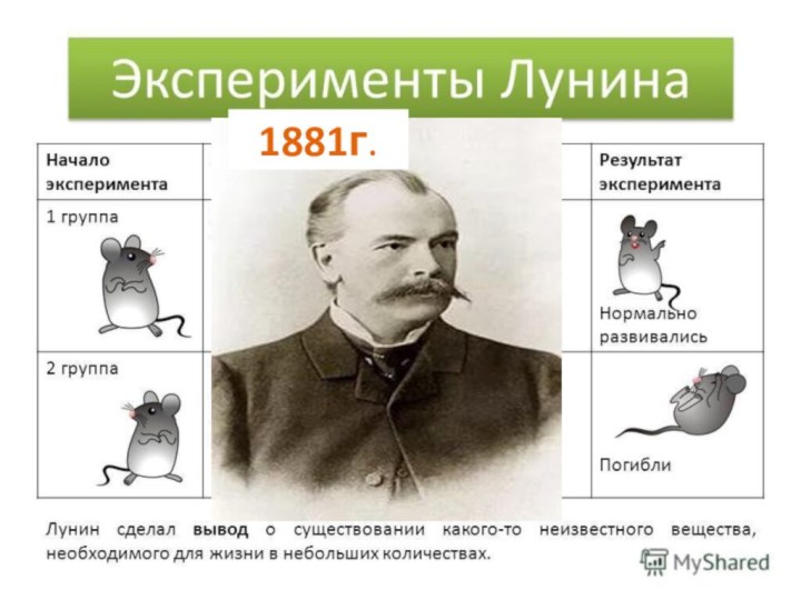 Лунин Николай ИвановичВ 1881 г. Н.И. Лунин произвел опыты над двумя группами