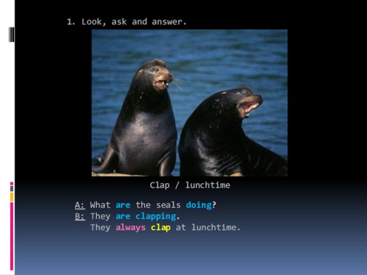 1. Look, ask and answer.A: What are the seals doing?B: They are