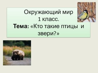 Презентация по окружающему миру Кто такие птицы и звери?, 1 класс