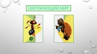 Презентация по окружающему миру Что вокруг нас может быть опасным