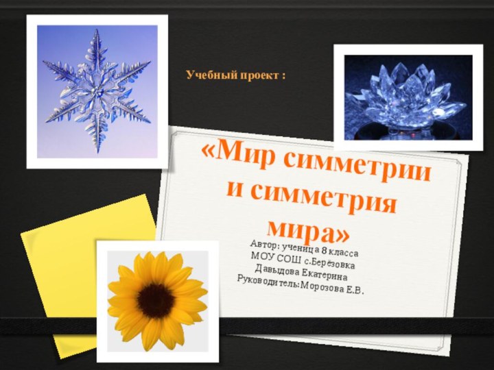 «Мир симметрии и симметрия мира»Автор: ученица 8 классаМОУ СОШ с.БерёзовкаДавыдова ЕкатеринаРуководитель:Морозова Е.В.Учебный проект :