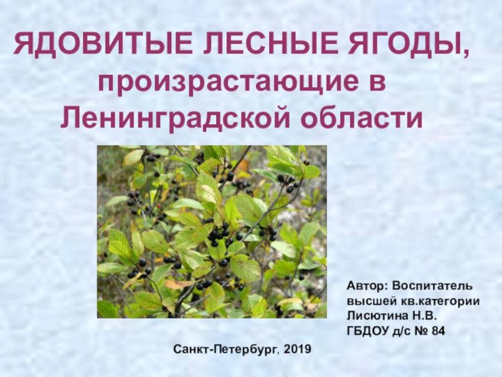 ЯДОВИТЫЕ ЛЕСНЫЕ ЯГОДЫ,  произрастающие в Ленинградской областиАвтор: Воспитательвысшей кв.категорииЛисютина Н.В.ГБДОУ д/с № 84Санкт-Петербург, 2019