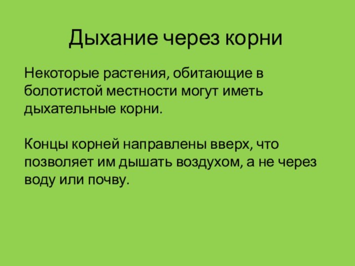 Дыхание через корниНекоторые растения, обитающие в болотистой местности могут иметь дыхательные корни.