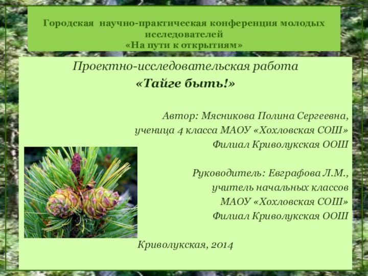 Городская научно-практическая конференция молодых исследователей  «На пути к открытиям»Проектно-исследовательская работа