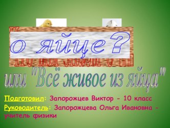 Презентация к научно - исследовательской работе: Что мы знаем о яйце?