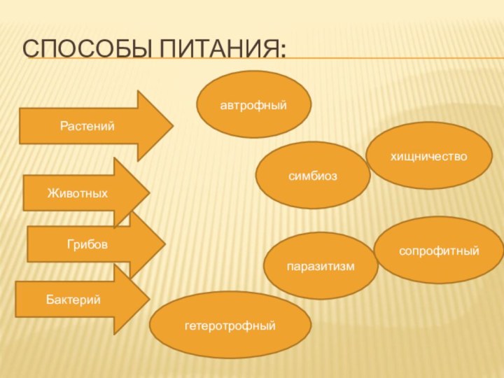 Способы питания:РастенийБактерийГрибовЖивотныхавтрофныйсимбиозпаразитизмхищничествосопрофитныйгетеротрофный