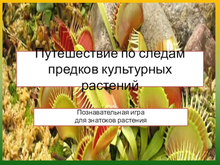 Путешествие по следам предков культурных растенийПознавательная иградля знатоков растения