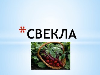 Презентация Всё про свеклу