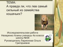 Презентация к исследовательской работе А правда ли, что лев самый сильный из семейства кошачьих