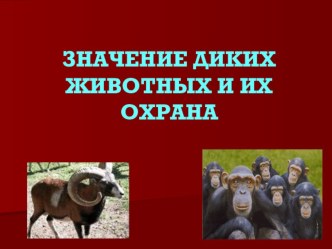 Презентация ЗНАЧЕНИЕ ДИКИХ ЖИВОТНЫХ И ИХ ОХРАНА