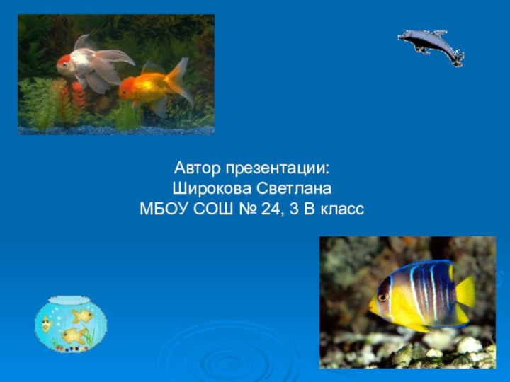Автор презентации: Широкова СветланаМБОУ СОШ № 24, 3 В класс
