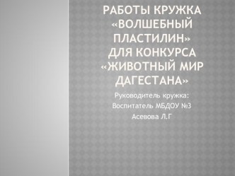 Презентация работ кружка Волшебный пластилин