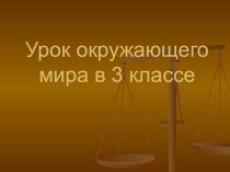 Презентация к уроку Разнообразие веществ. Практическая работа № 2 по теме: Обнаружение крахмала в продуктах питания