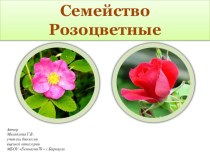 Презентация Семейства Розоцветные и Бобовые