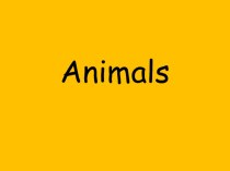 Презентация по английскому языку на тему: Животные (2 класс)