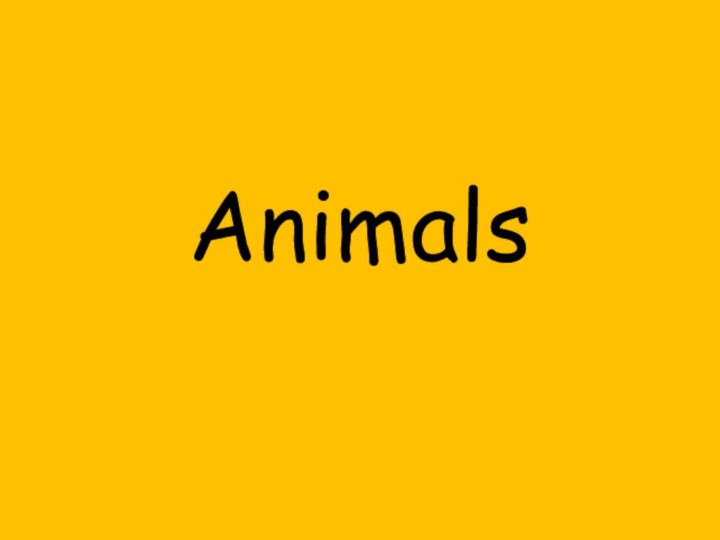 Animals