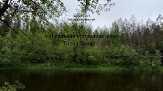 Уникальная природная зона. Город Вельск Архангельской области