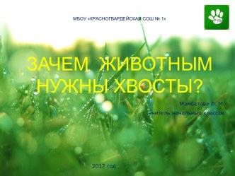 Презентация к уроку окружающего мира Что мы узнали о животных 1 класс. УМК Гармония