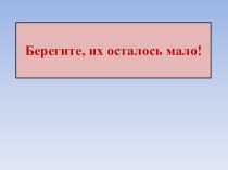 Презентация к уроку окружающего мира