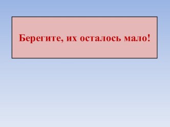 Презентация к уроку окружающего мира