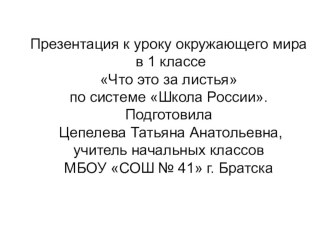 Презентация по окружающему миру на тему Листья летом и осенью (1 класс)